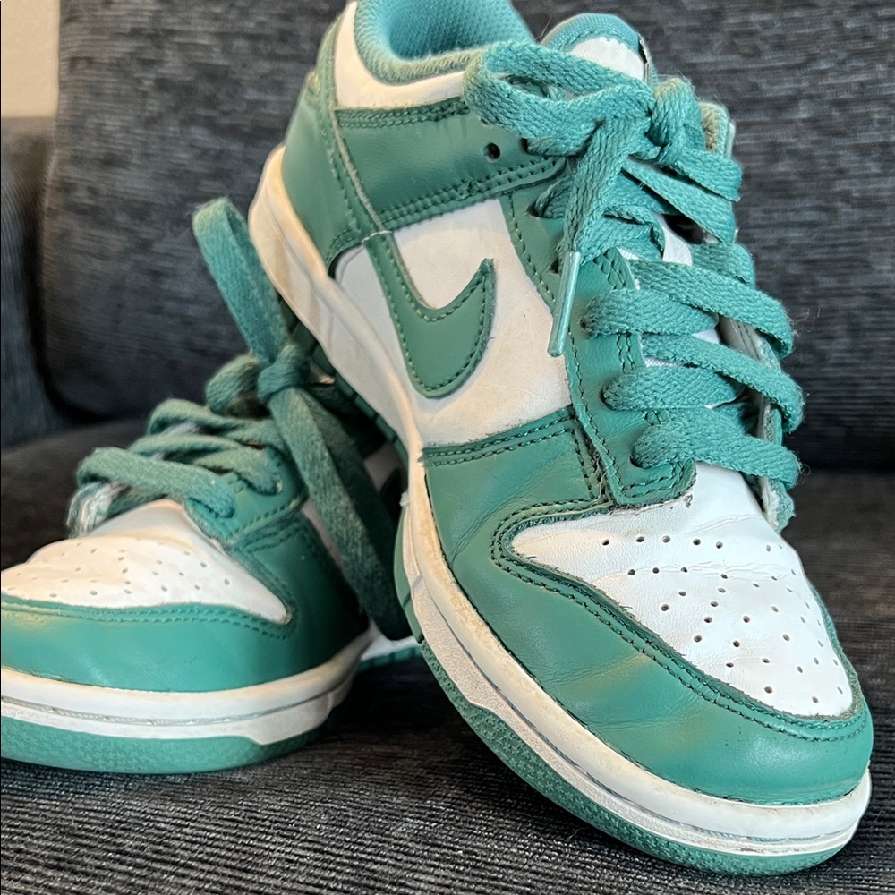 Nike Dunk Low HF-4798-100